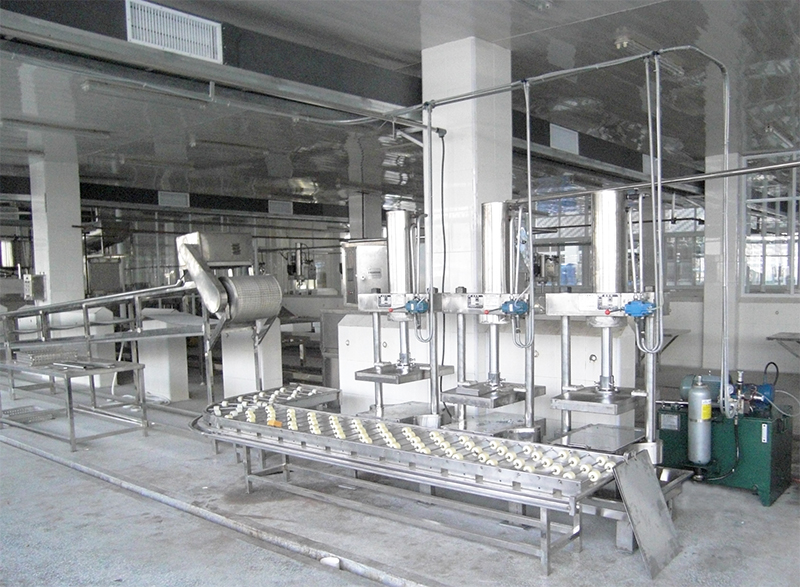 薄百頁（千張）干豆腐-豆腐皮機